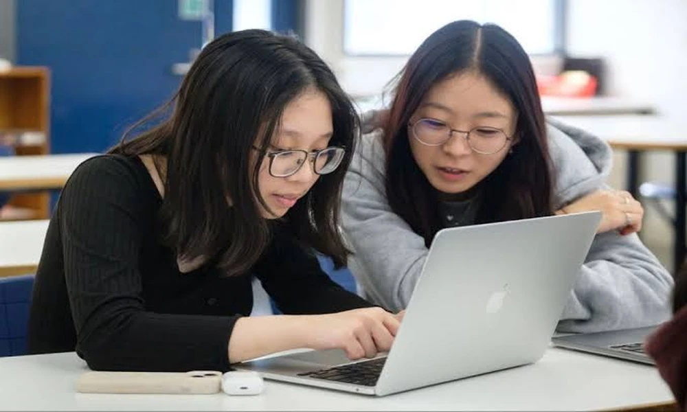 Humanities Education: Strengthening Analytical Skills for Academic and Professional Growth